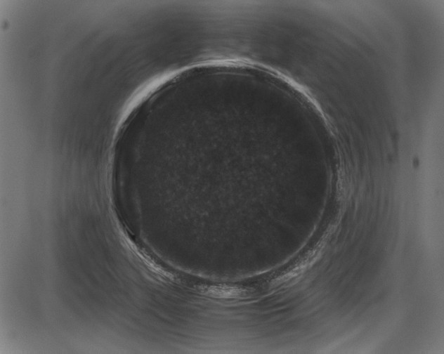 X0000087641319200705031500