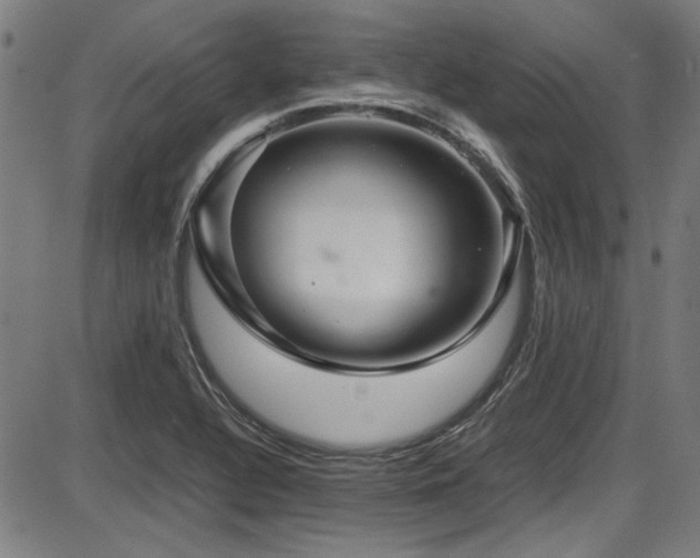 X0000087641320200705031500