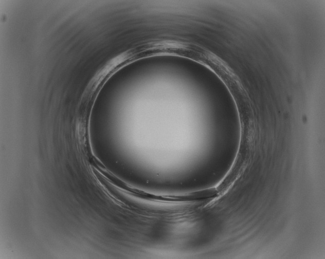 X0000087641321200705031500