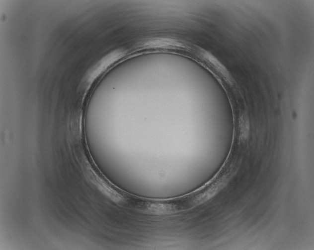 X0000087641322200705031500