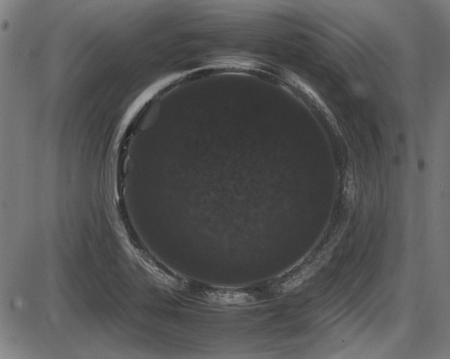 X0000087641323200705031500