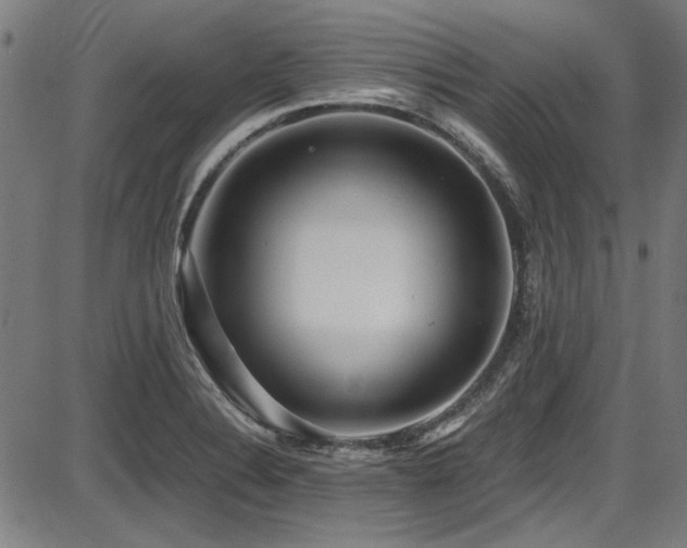 X0000087641324200705031500