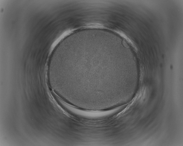 X0000087641325200705031500