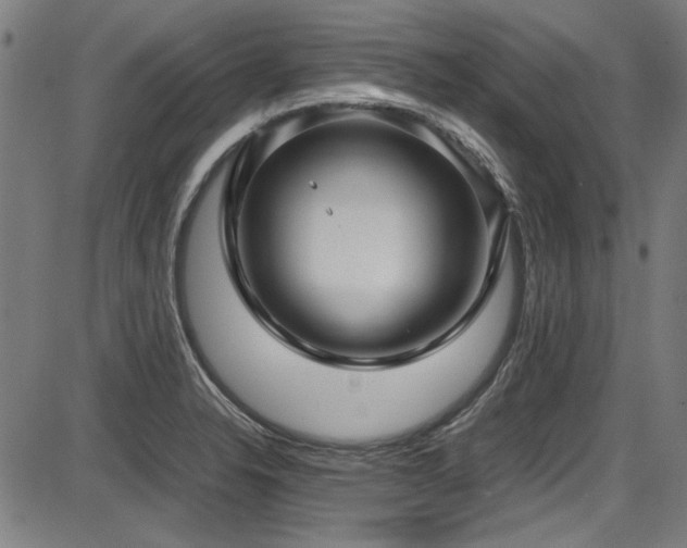 X0000087641326200705031501