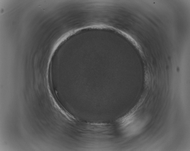 X0000087641327200705031501