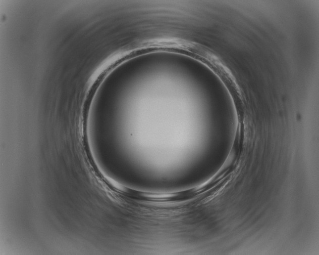 X0000087641328200705031501