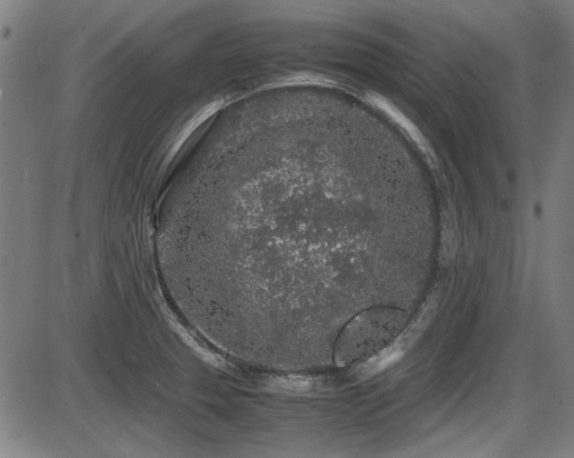 X0000087641329200705031501