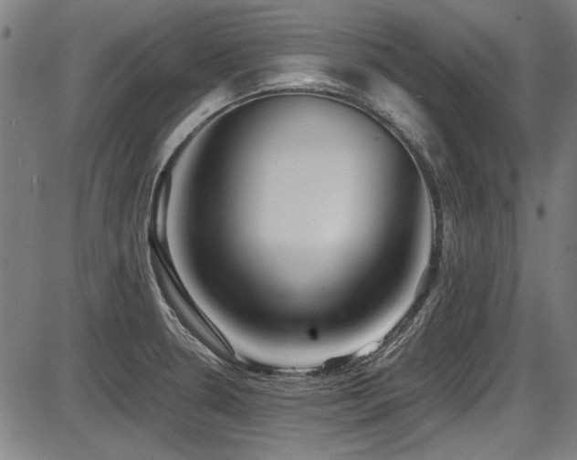 X0000087641330200705031501