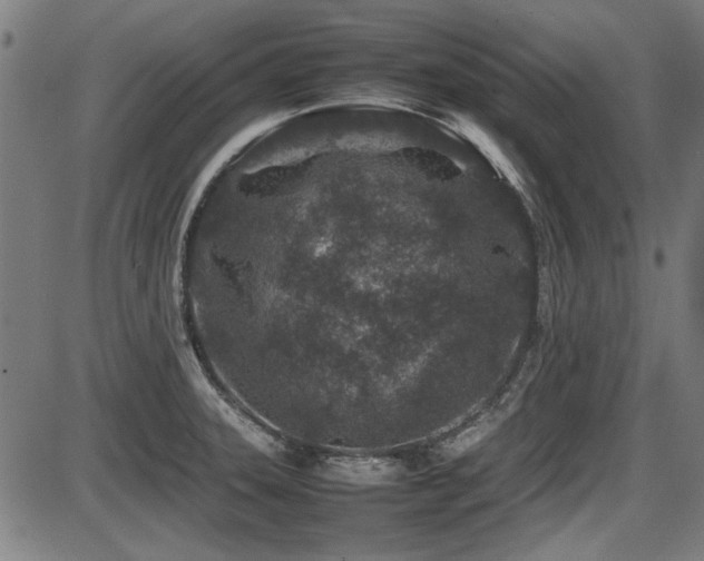 X0000087641331200705031501