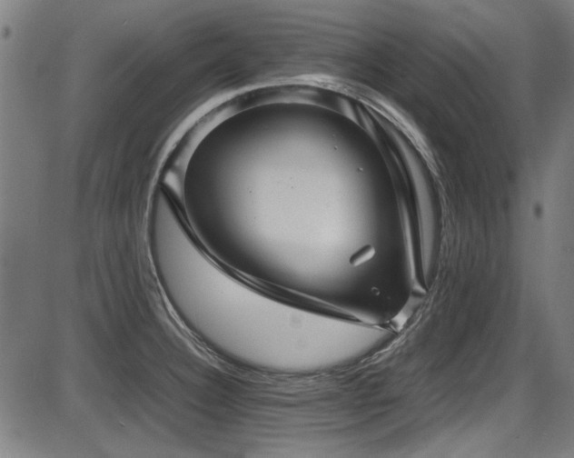 X0000087641332200705031501