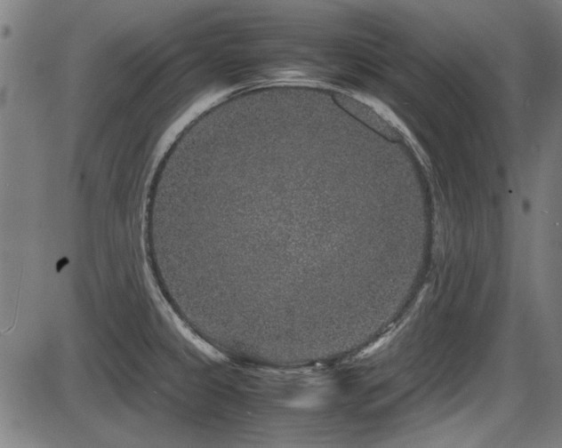 X0000087641333200705031501