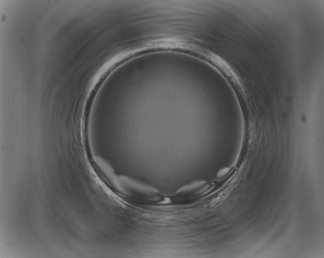 X0000087641334200705031501