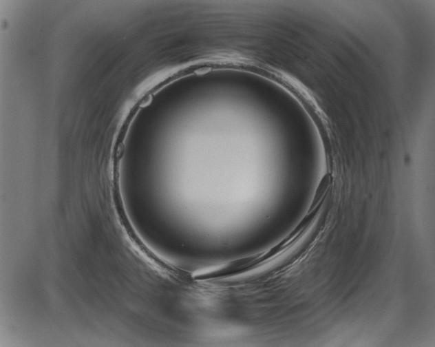 X0000087641335200705031501