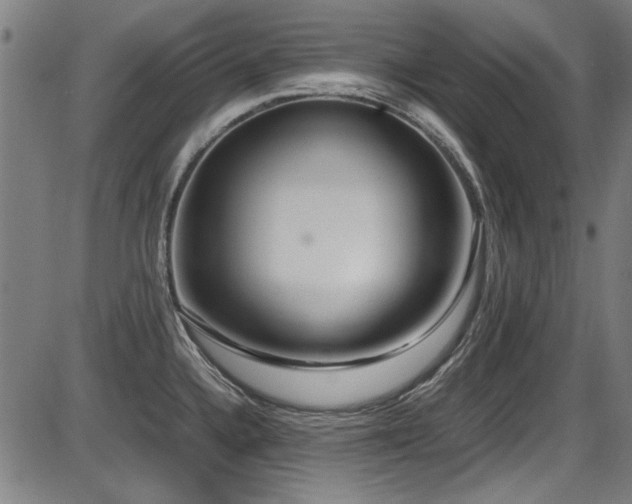 X0000087641336200705031501