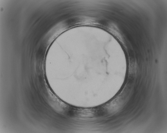 X0000087641338200705031501