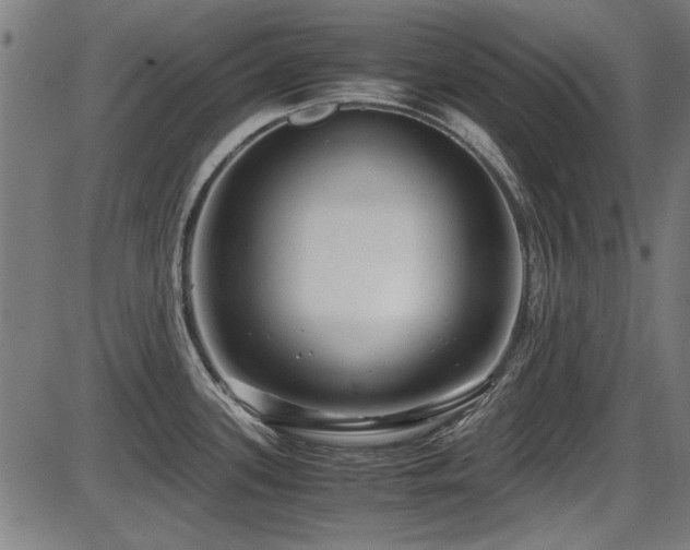 X0000087641339200705031501