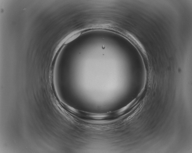 X0000087641340200705031501