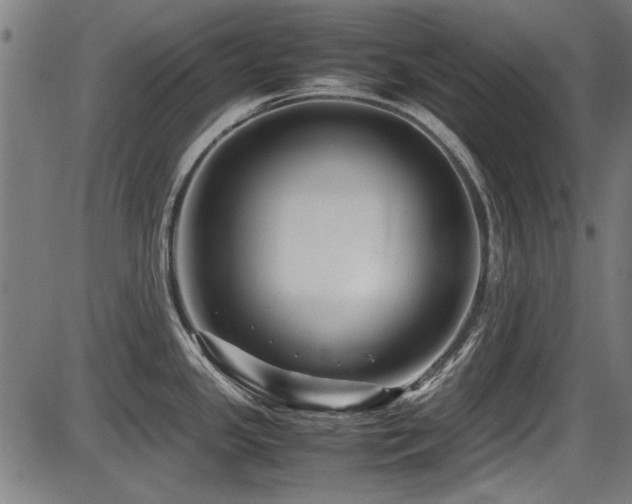 X0000087641341200705031501