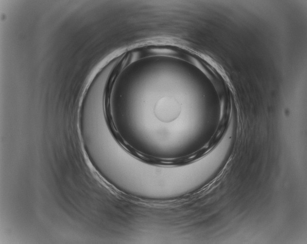 X0000087641342200705031501