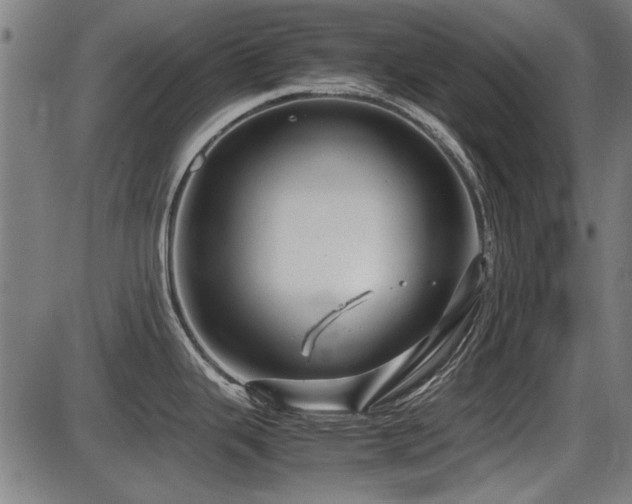 X0000087641343200705031501