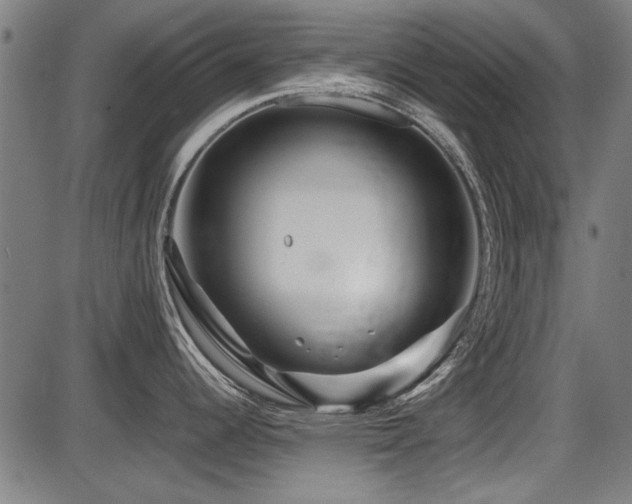 X0000087641344200705031501