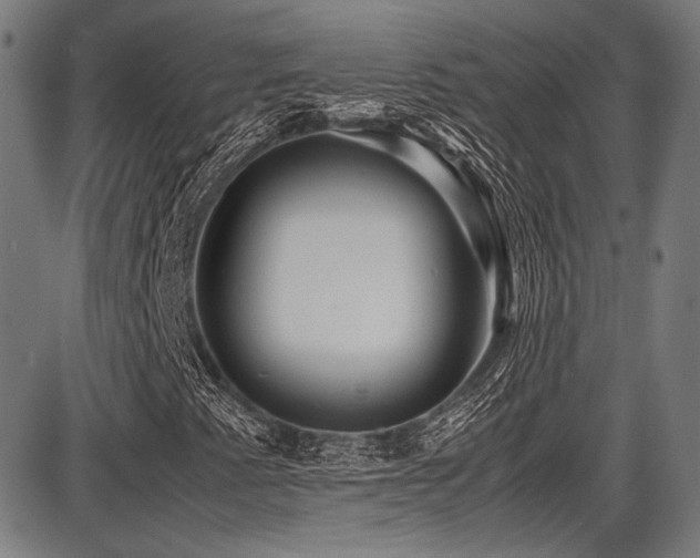 X0000087641345200705031500