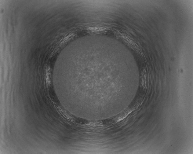 X0000087641346200705031500