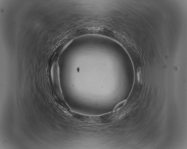 X0000087641347200705031500