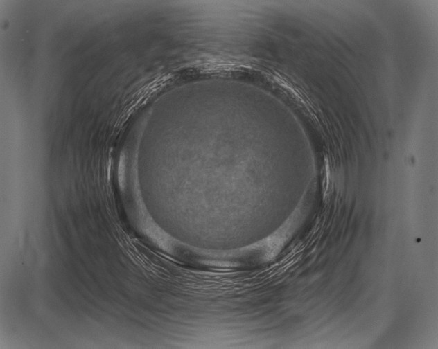 X0000087641348200705031500