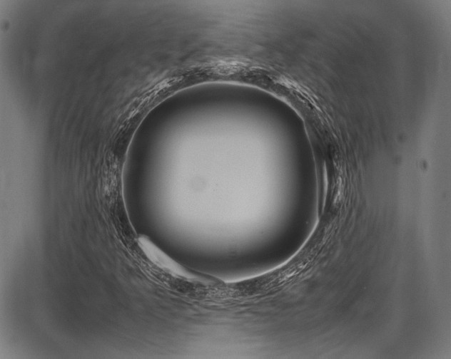 X0000087641349200705031500