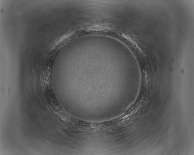 X0000087641350200705031500