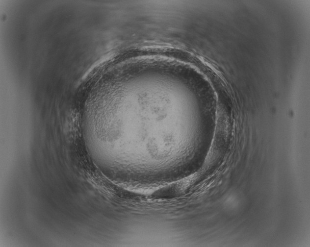 X0000087641351200705031500