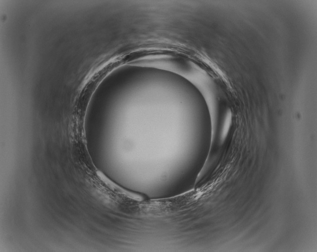 X0000087641352200705031500