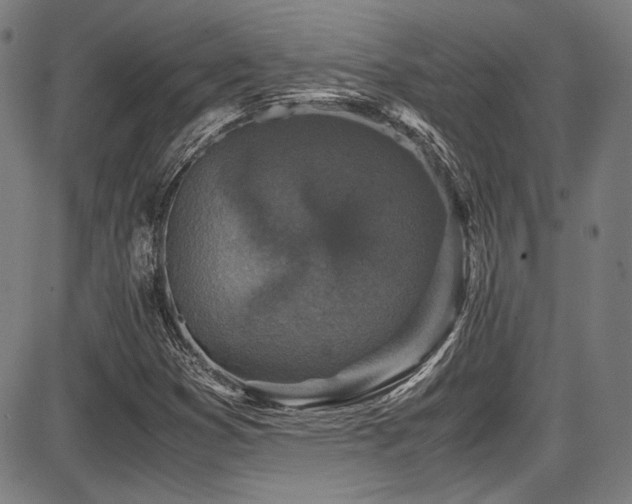 X0000087641353200705031500