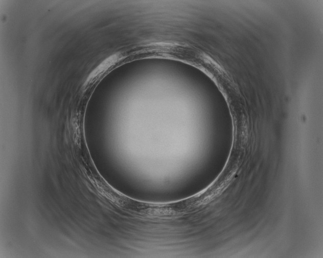 X0000087641354200705031500