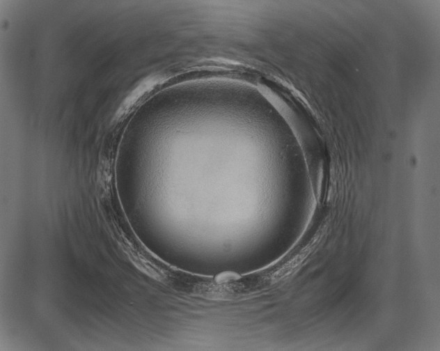 X0000087641355200705031500