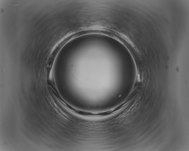 X0000087641356200705031500