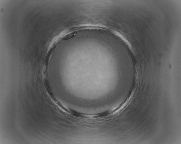 X0000087641357200705031500