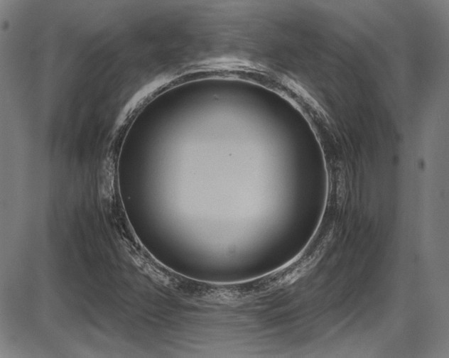 X0000087641358200705031500