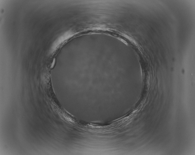 X0000087641359200705031500