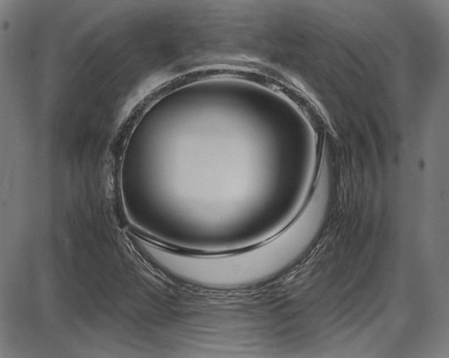 X0000087641360200705031500