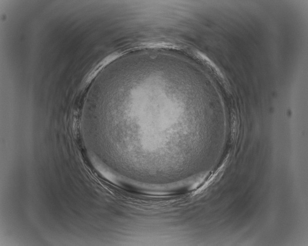 X0000087641361200705031500