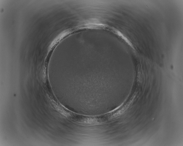 X0000087641362200705031500