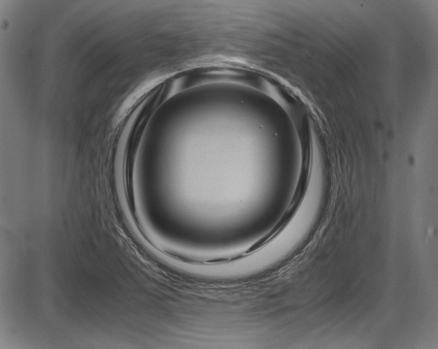 X0000087641363200705031500