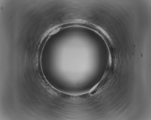 X0000087641364200705031500