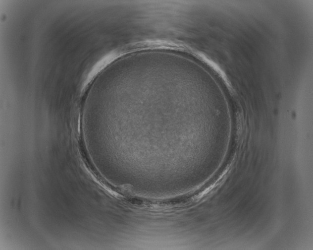 X0000087641365200705031500