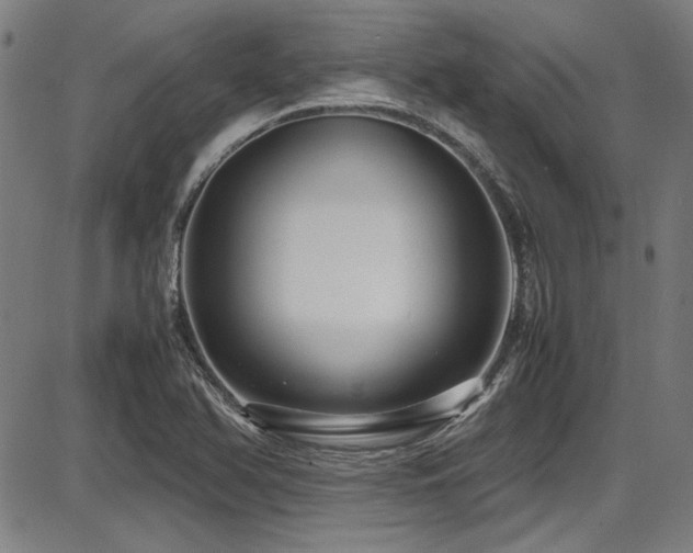 X0000087641366200705031500