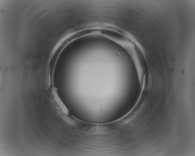 X0000087641368200705031500