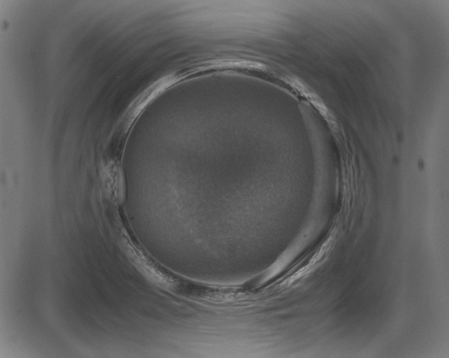 X0000087641369200705031500