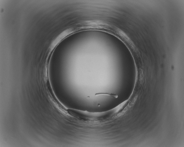 X0000087641370200705031500